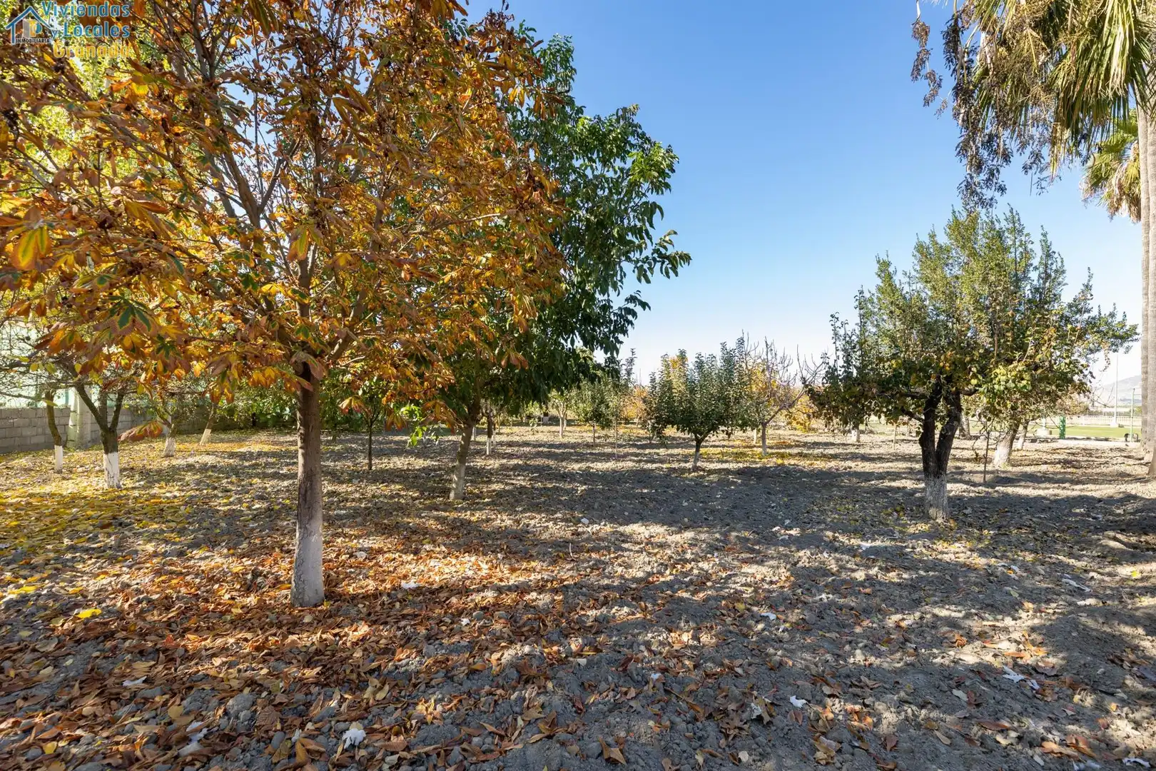 Casa o chalet en venta en Granada con Aire acondicionado, Jardín privado y Trastero