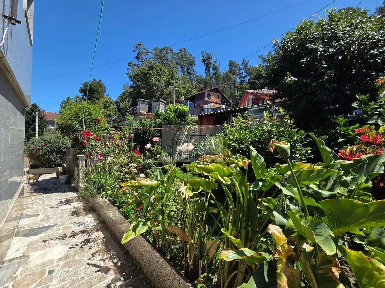 Jardín de Casa o chalet en venta en Vigo  con Calefacción y Jardín privado