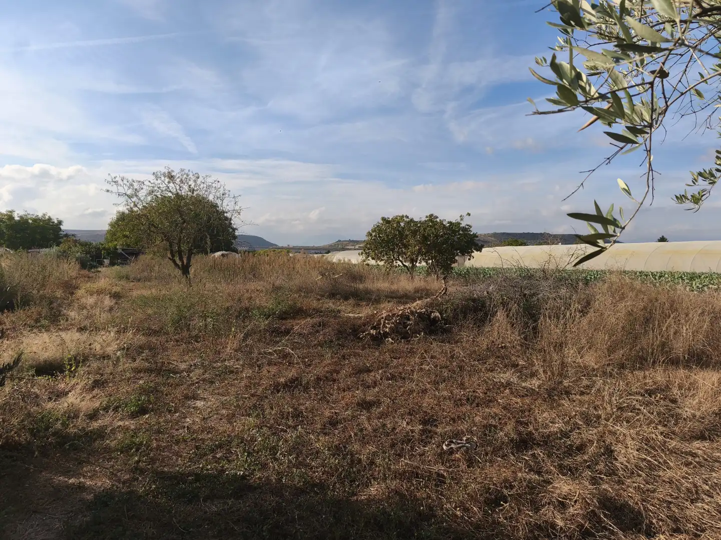 Land for sale in  Logroño