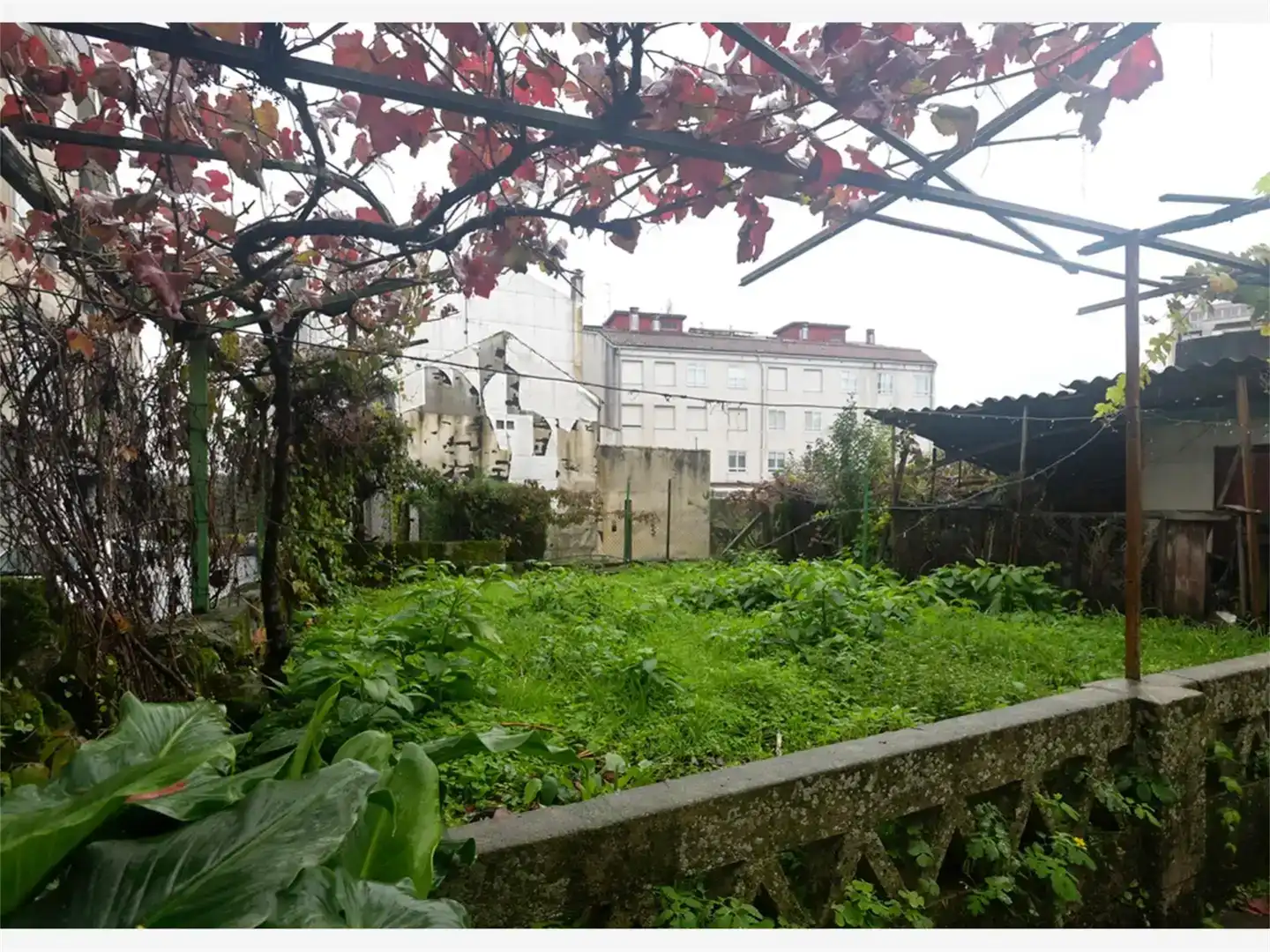 Jardí de Finca rústica en venda en O Carballiño  
