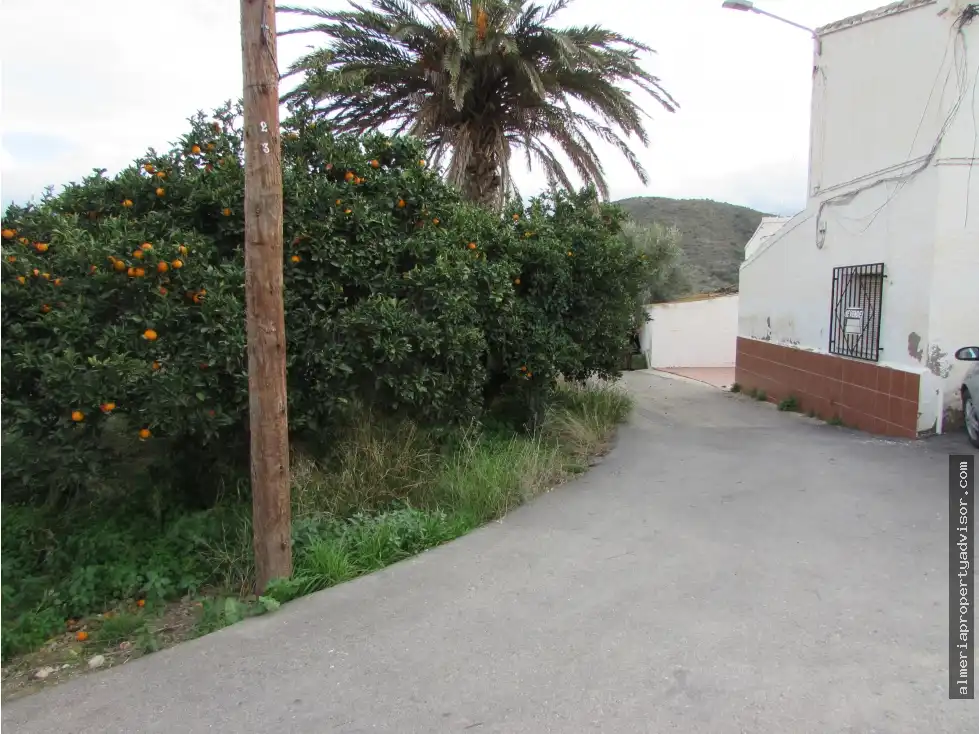 Casa rústica en venta en Los Gallardos, imagen 40