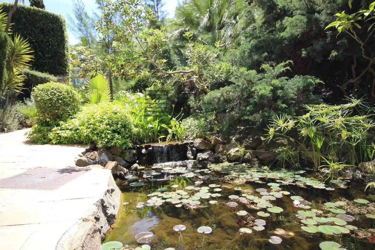 Attique avec piscine à vendre à Milenio, imagen 30