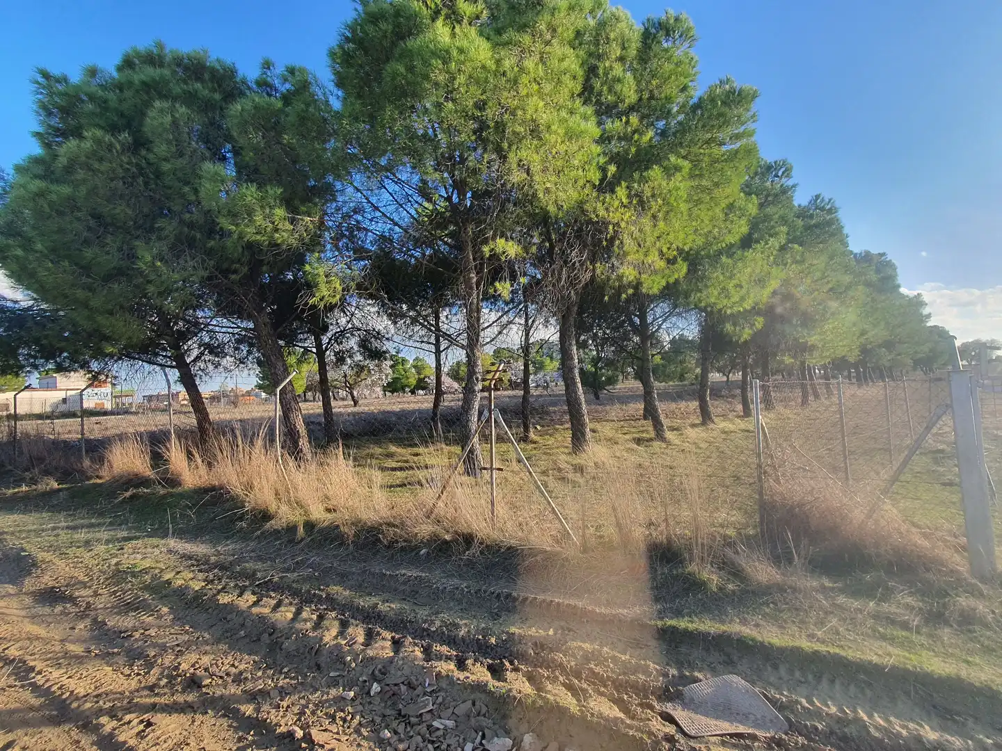 Terreno en venta en Ciempozuelos