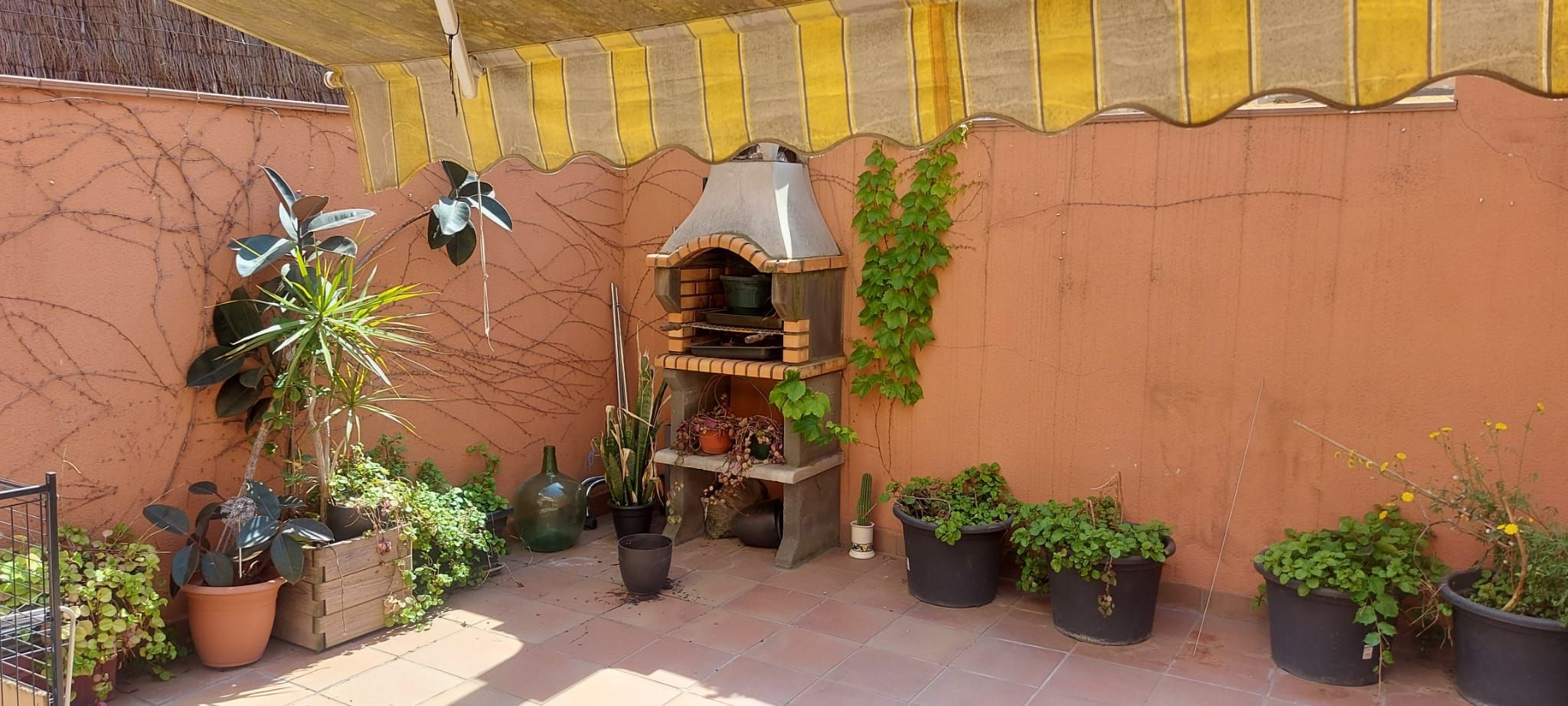 Planta baixa en venda a Cerdanyola Sud