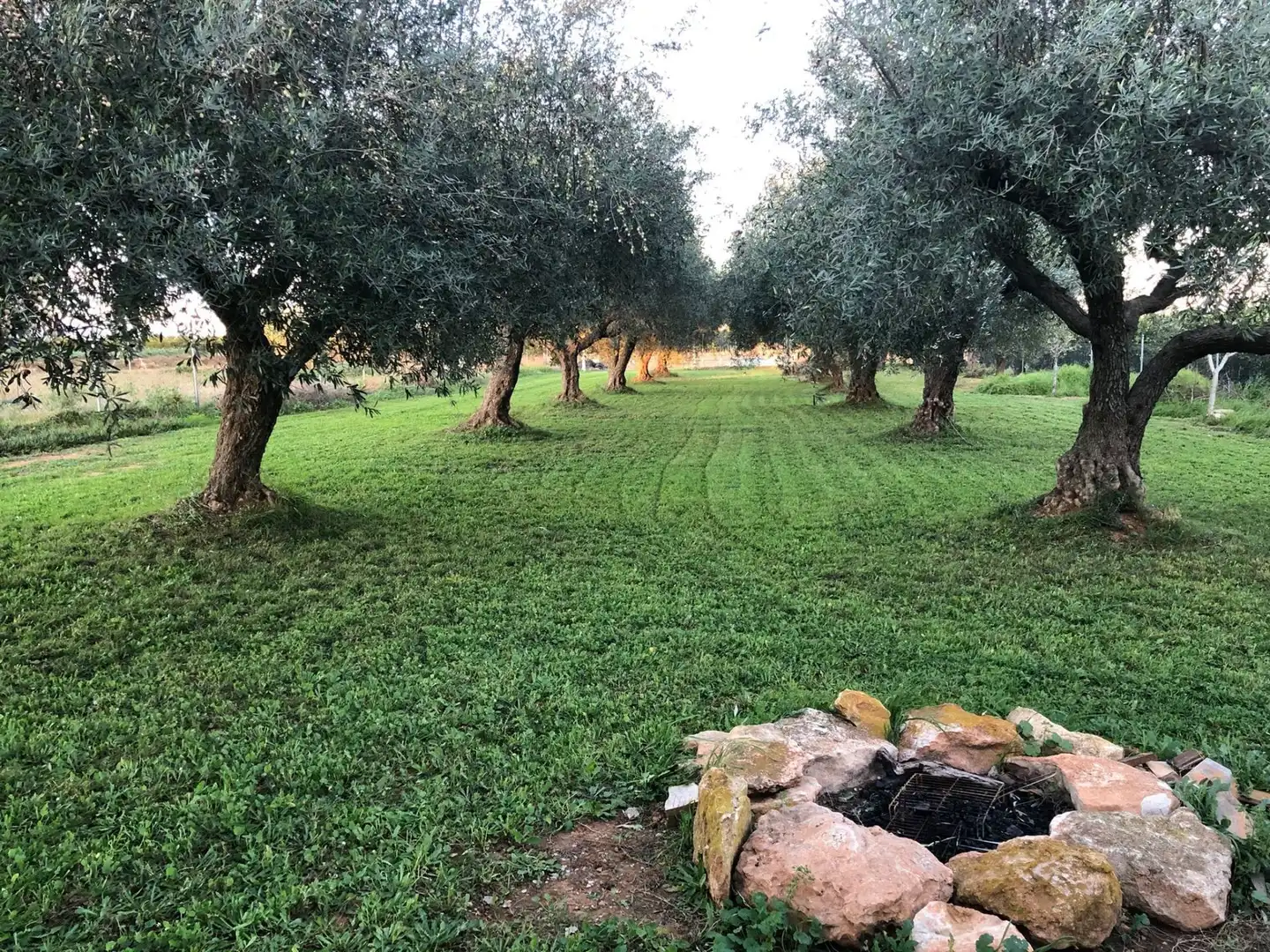 Terreny en venda en Benicarló
