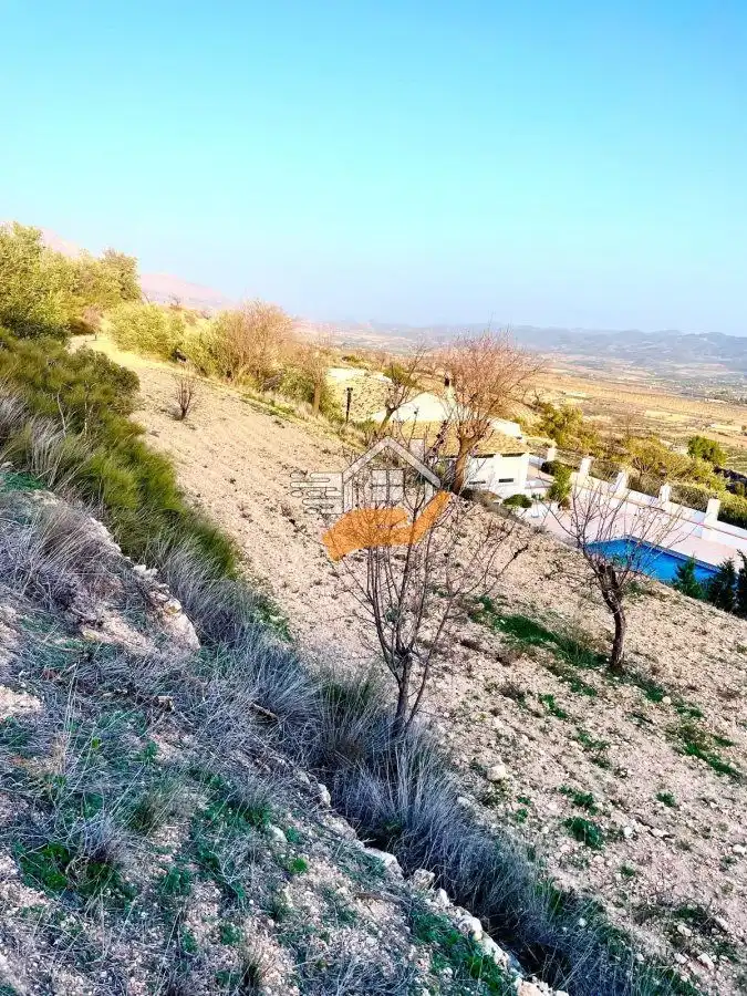 Lands and plots for sale in Vélez-Rubio, imagen 3