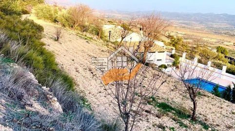 Terreno en venta en VélezRubio., immagine 3