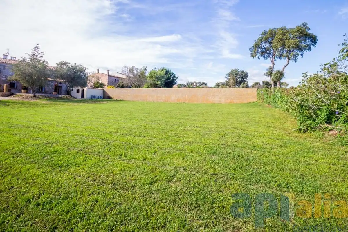 Finca rústica en venta en Carrer Marieta, Puig Ses Forques - Torre Colomina