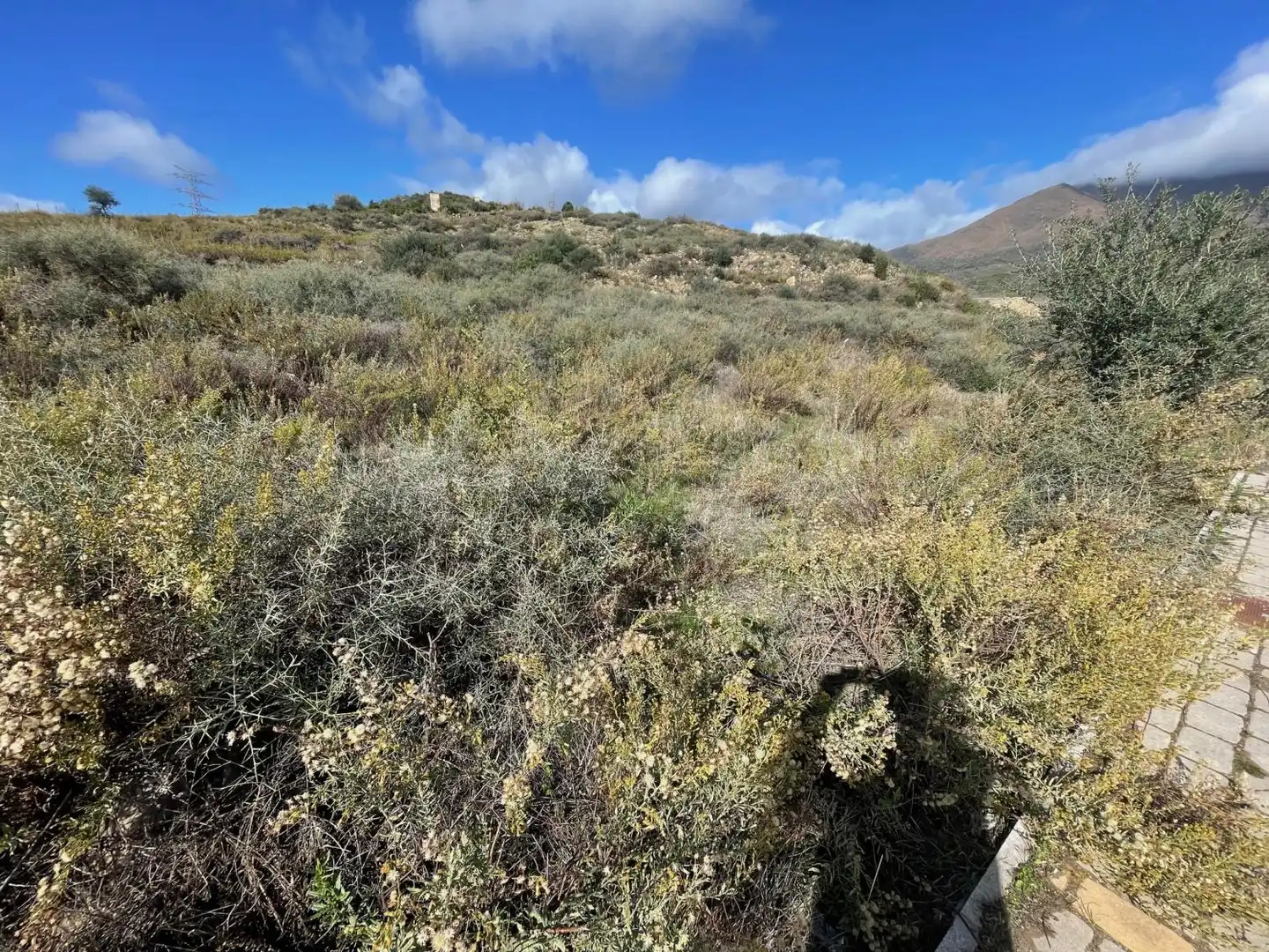 Industriegrundstück zum Verkauf in Casares pueblo, imagen 3