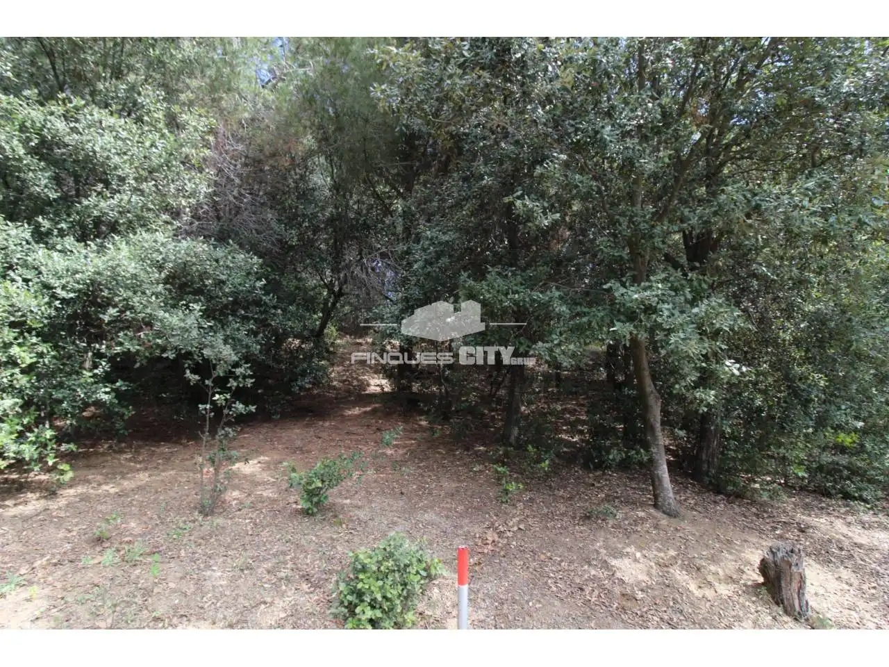 Residential land for sale in Avenida Àlbers, imagen 17