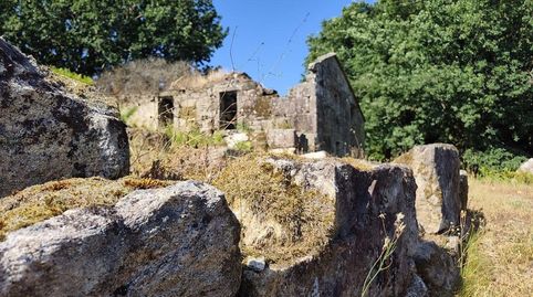 Foto 3 de Finca rústica en venta en Redondela, Pontevedra