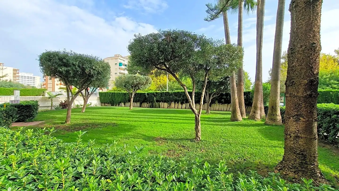 Apartamento de alquiler en De La Rioja, 125, Playa de Gandia