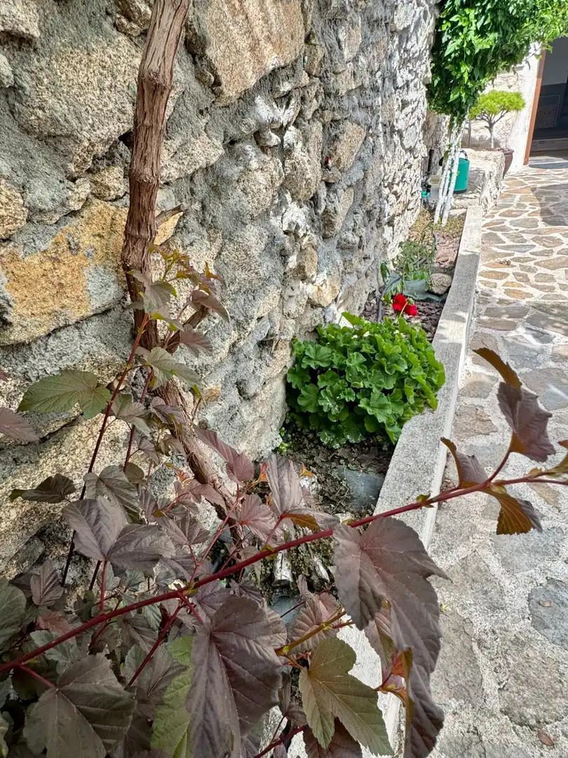Vista exterior de Casa o chalet en venta en Ledesma con Calefacción