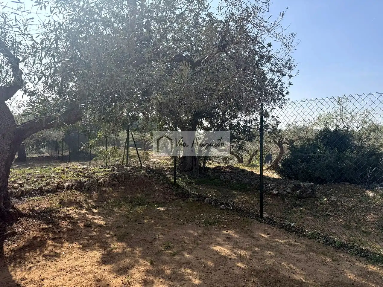 Terreny rústic en venda a Bassa del pi, imagen 20