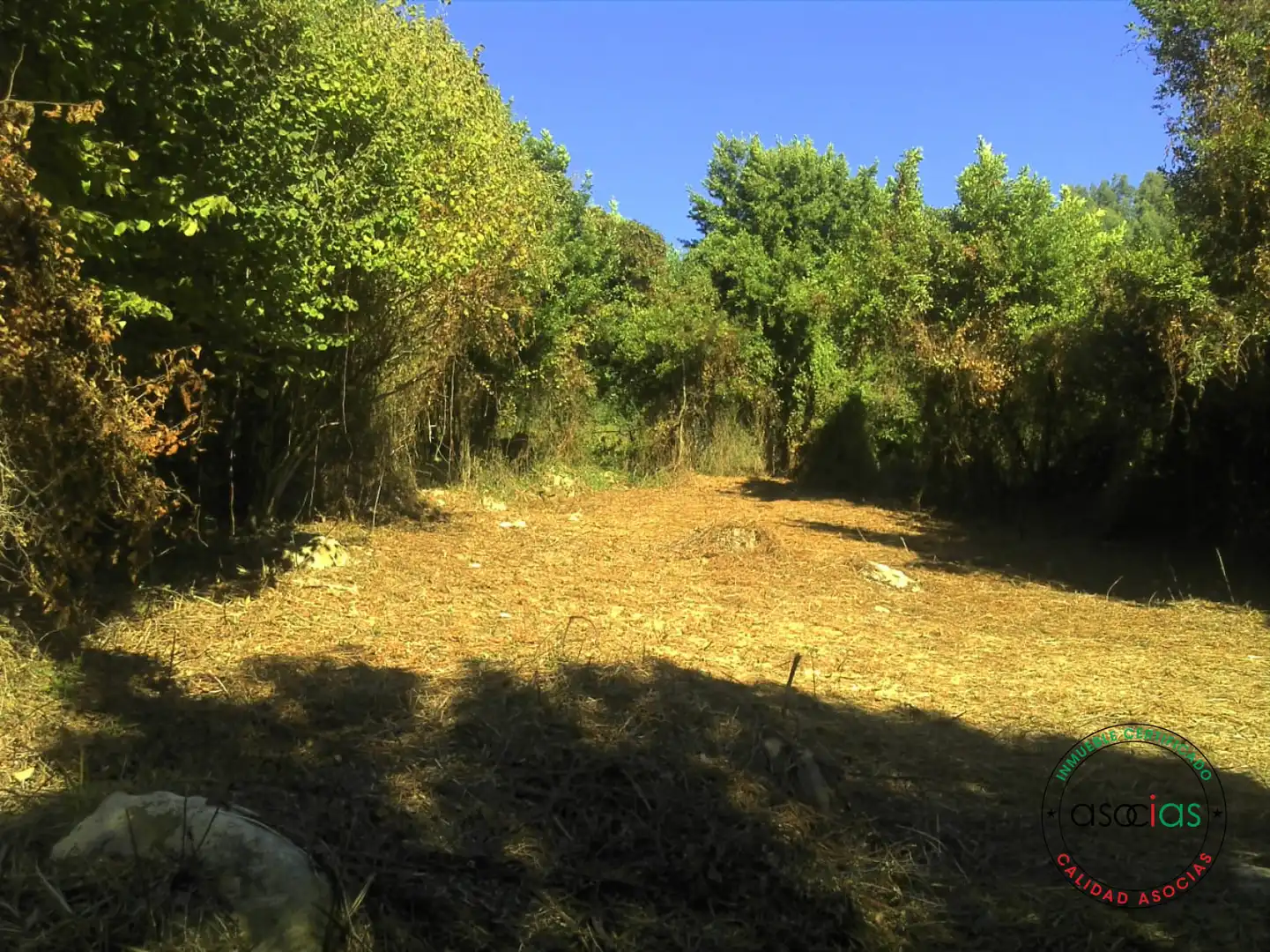 Terreno rustico in vendita a Gijón - BARRIO SAN PELAYO - CALDONES, imagen 21