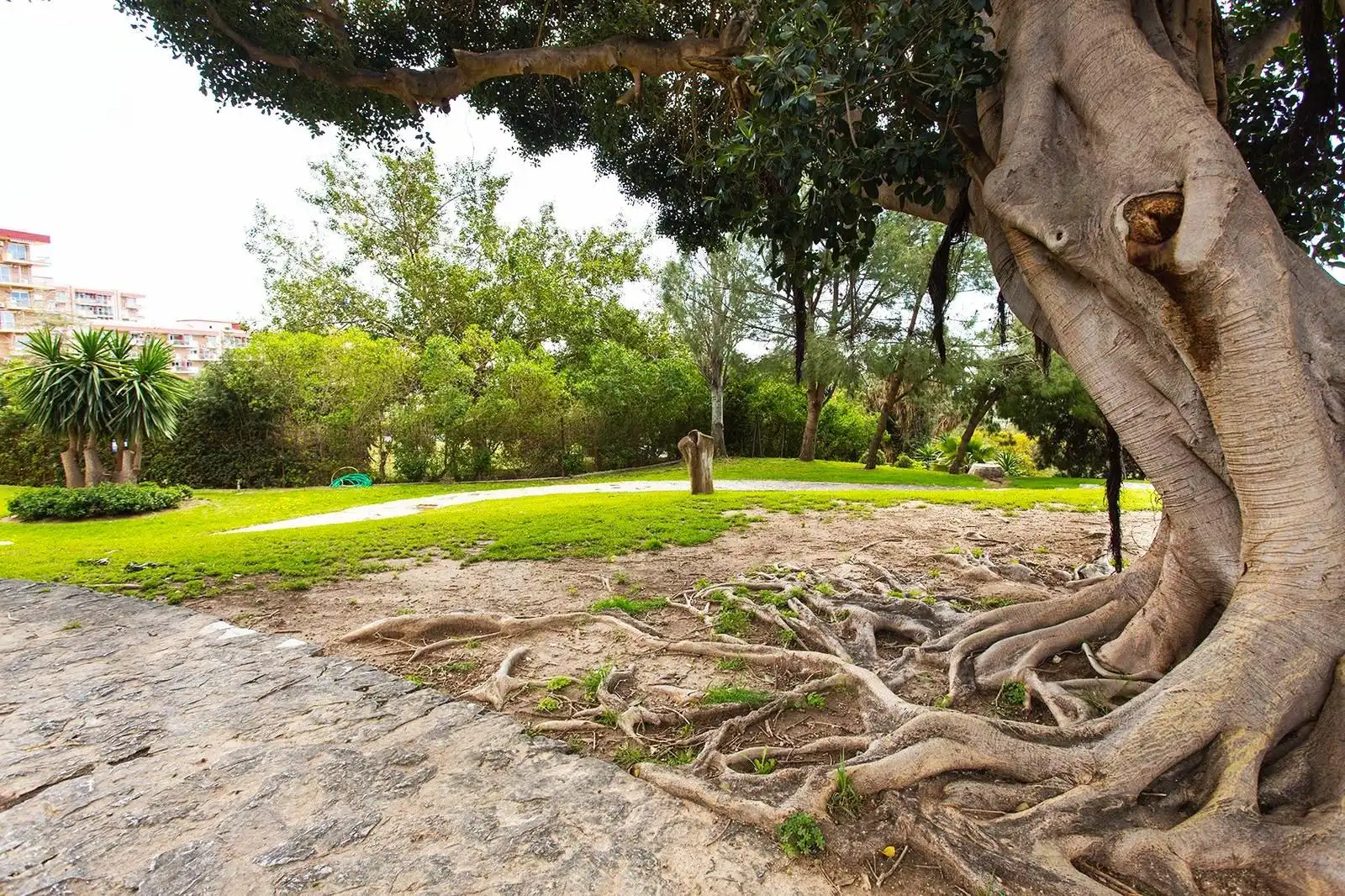 Jardín de Piso en venta en Benalmádena con Aire acondicionado, Calefacción y Jardín privado