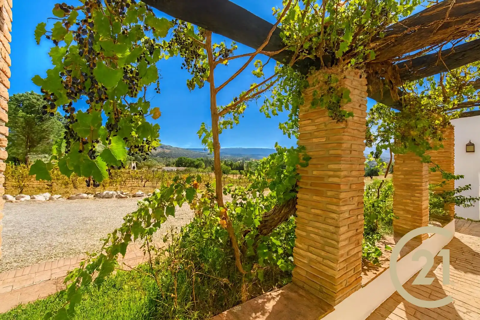 Jardín de Casa o chalet en venta en Ronda con Calefacción, Jardín privado y Terraza