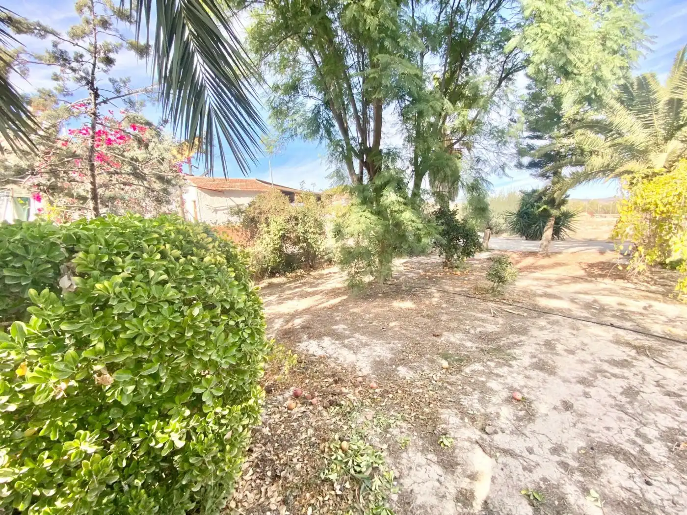 Casa rústica amb jardí en venda a Puerto Lumbreras, imagen 71
