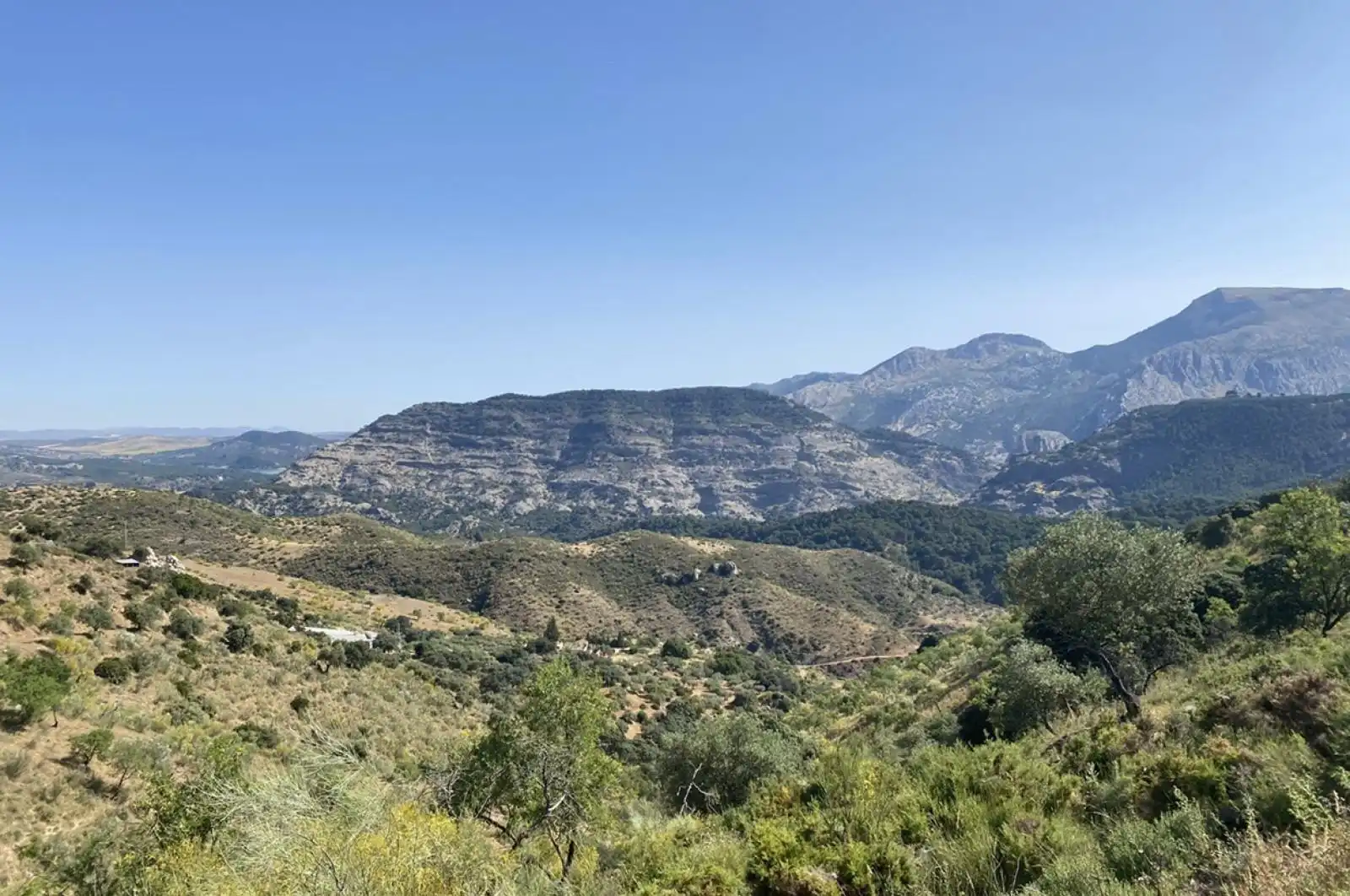 Terreni e lotti in vendita a huerto franco, imagen 11