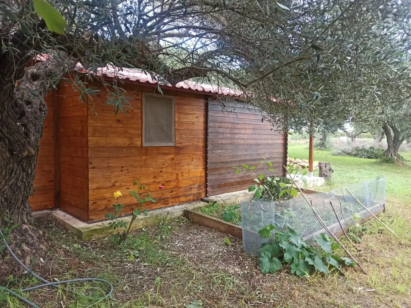 Jardí de Terreny en venda en Benicarló