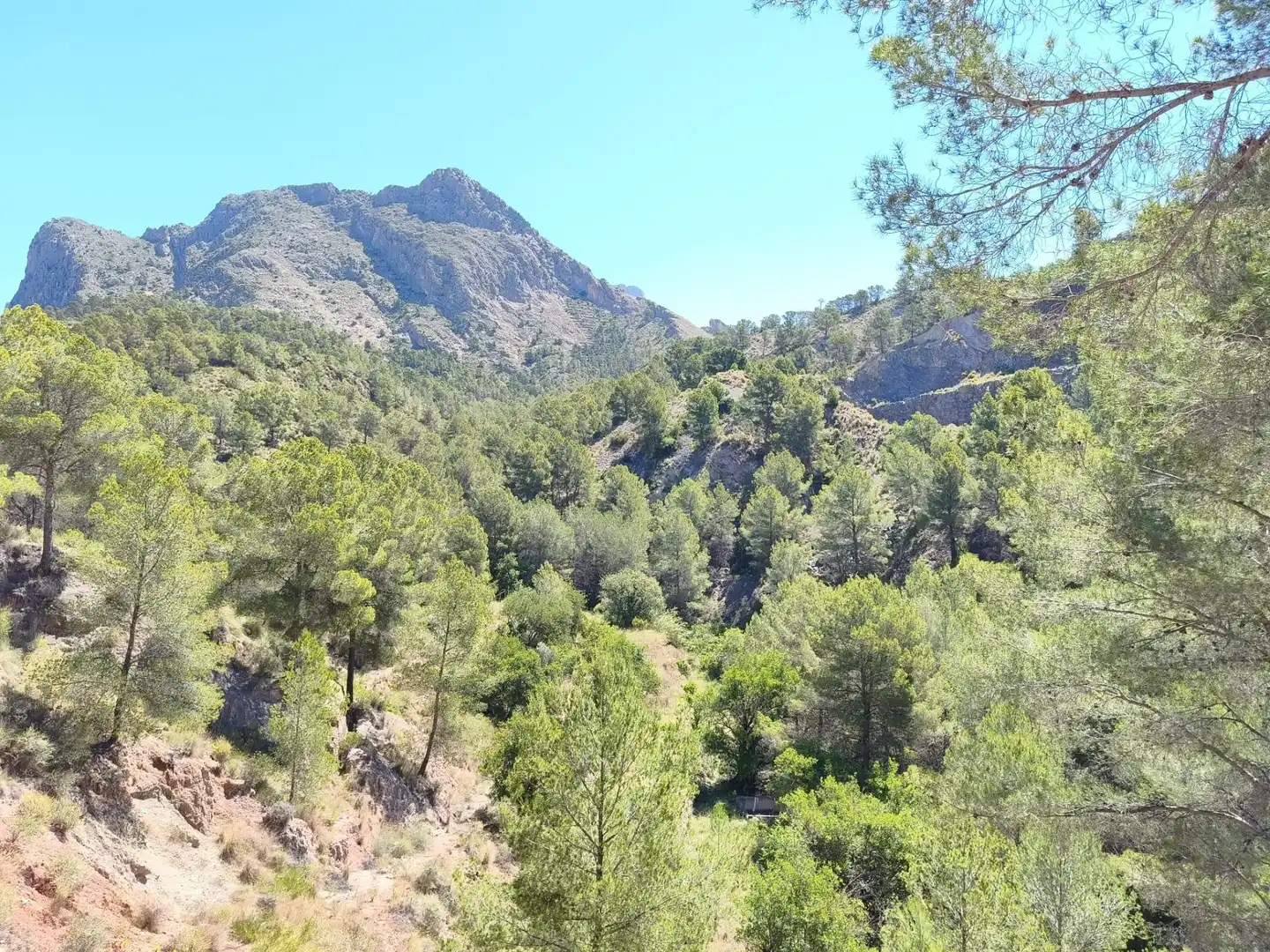 Finca rústica en venda a Orxeta
