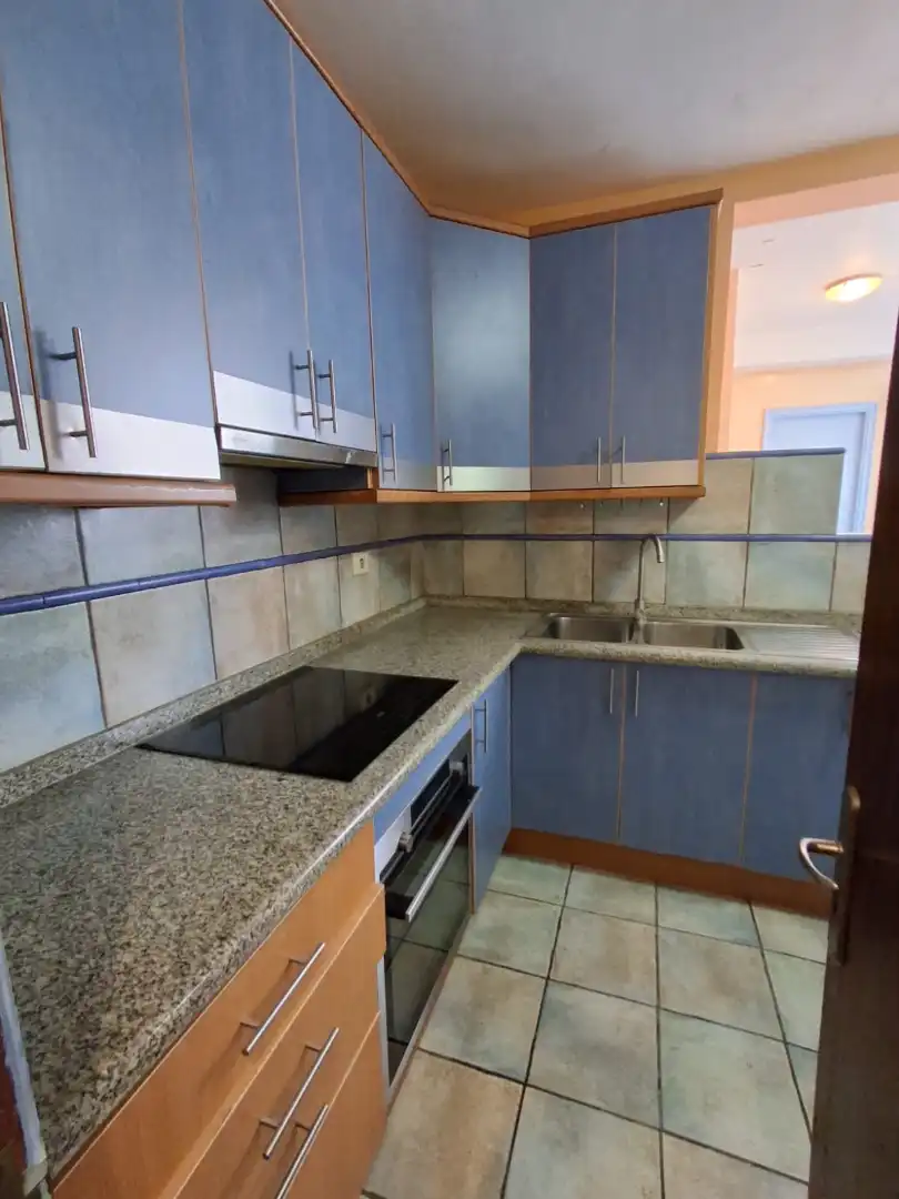 Cocina de Piso de alquiler en Las Palmas de Gran Canaria con Parquet, Horno y Balcón