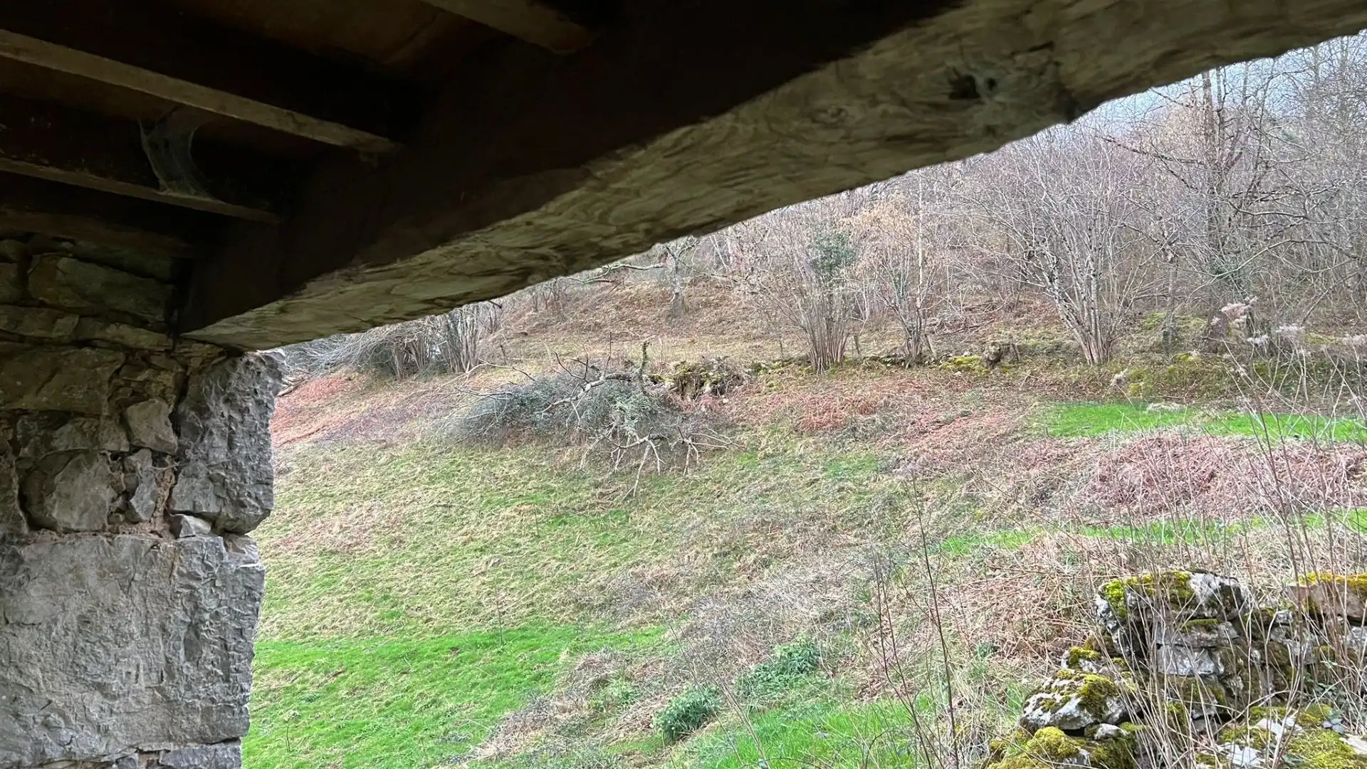 Terreno rustico in vendita a Cangas de Onís, imagen 27