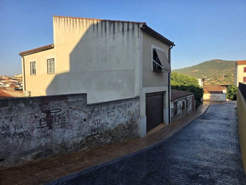 Exterior view of House or chalet for sale in Plasencia  with Private garden and Terrace