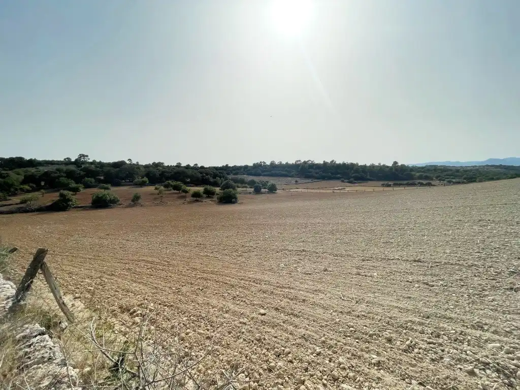Rural land for sale in Sineu, imagen 8