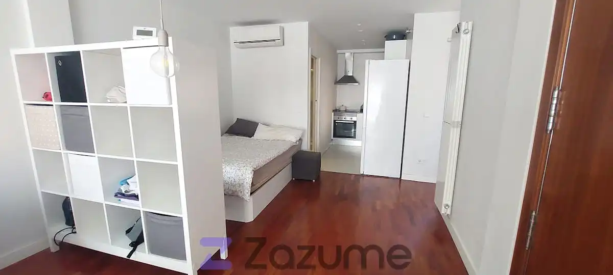 Dormitori de Estudi de lloguer en Madrid amb Aire condicionat, Calefacció i Parquet