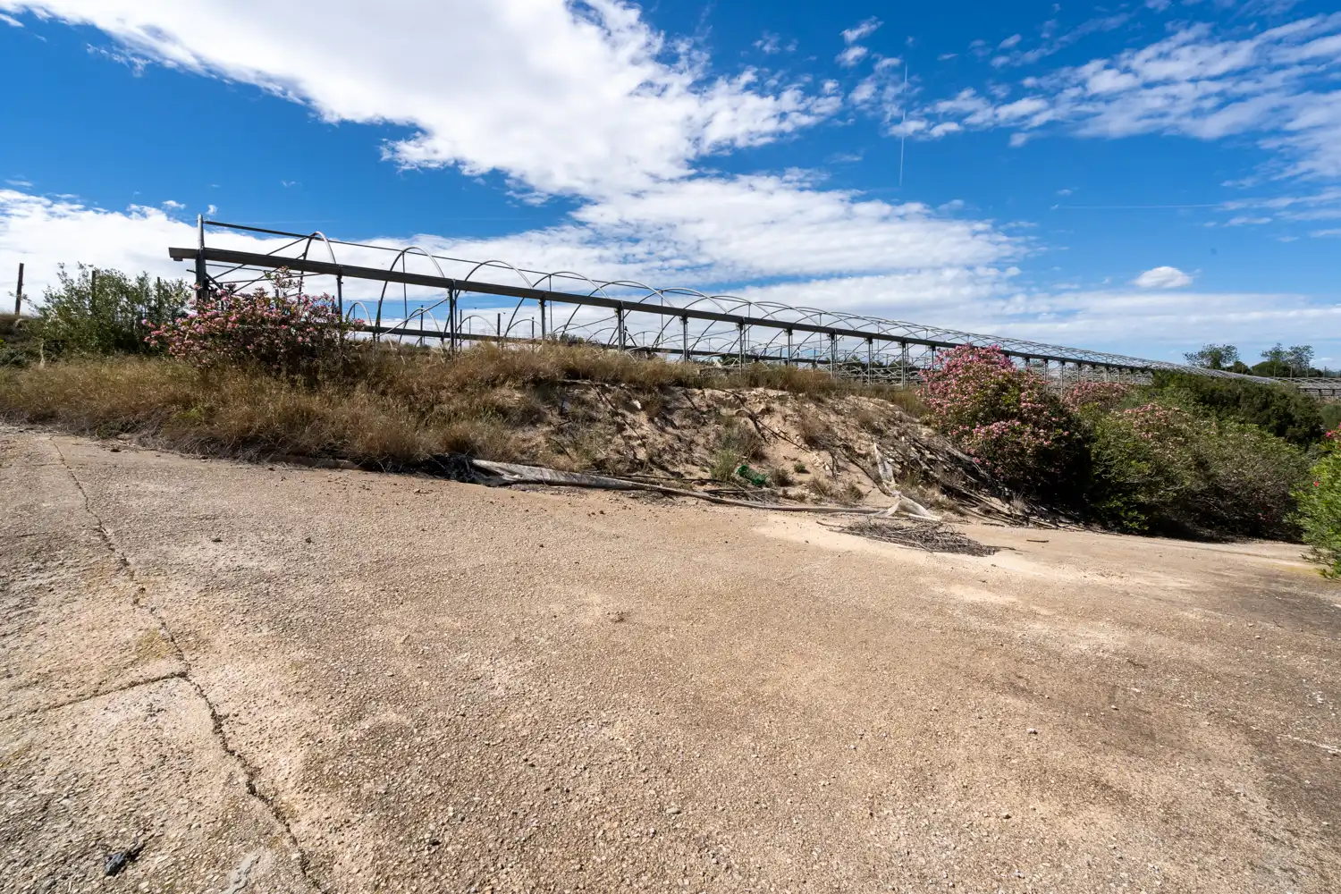 Rural land for sale in Camí del Barranc de Roé 94, imagen 5