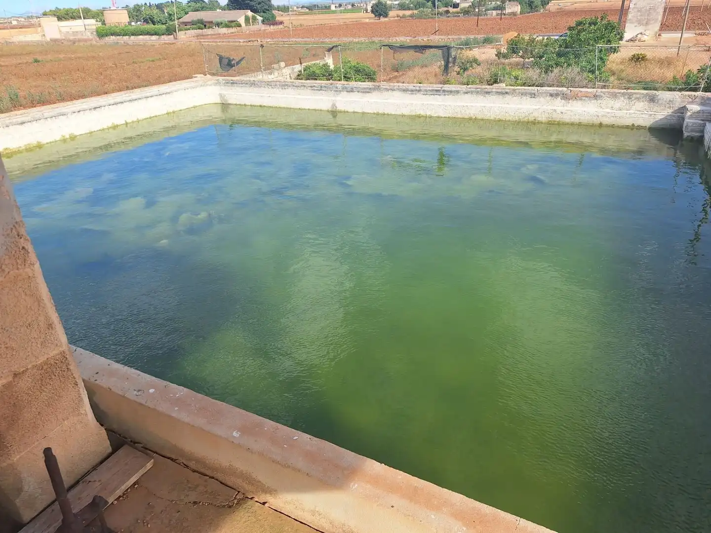 Schwimmbecken von Residential zum Verkauf in Sa Pobla