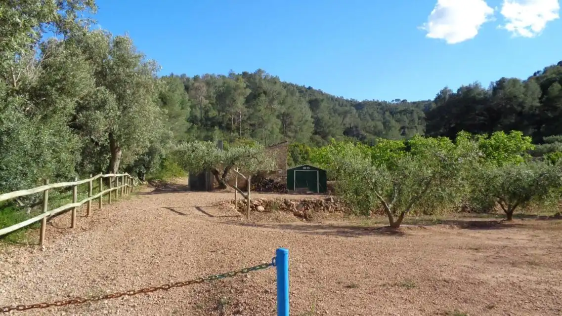 Terreno rustico in vendita a PESOLS, imagen 7