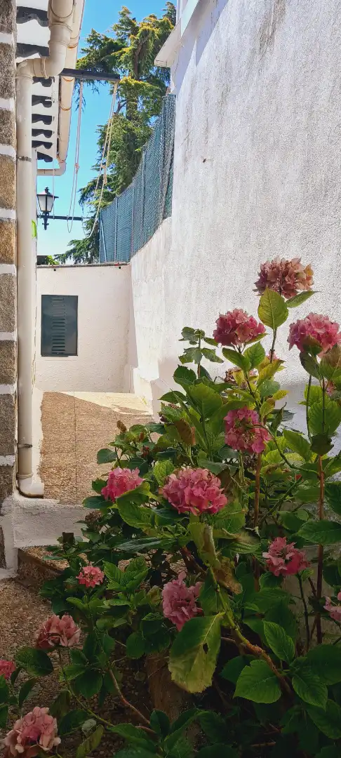 Vista exterior de Casa o chalet en venta en El Tiemblo  con Aire acondicionado, Jardín privado y Terraza