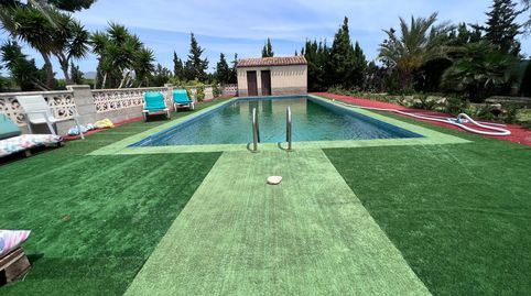 EL PARAISO EN LA HORNA, imagen 3