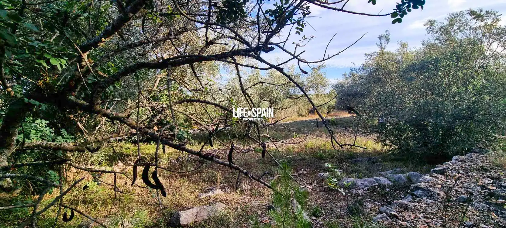 Finca rústica en venda en Roquetes amb Jardí privat i Piscina