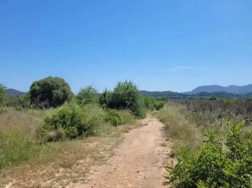 Rural land for sale in Pt Casalet, Pol 7, imagen 8