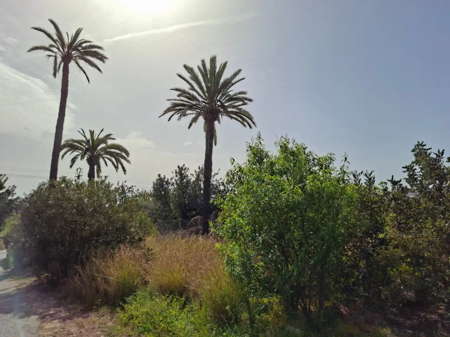 Wohnbaugrundstück zum Verkauf in Altea ciudad, imagen 9