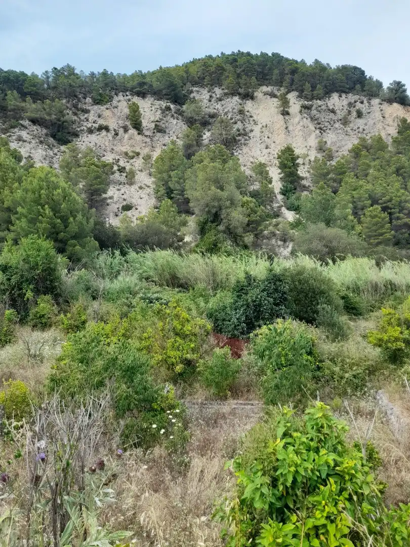 Rustikales Grundstück zum Verkauf in El Castell de Guadalest