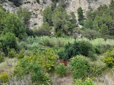 Rustikales Grundstück zum Verkauf in El Castell de Guadalest