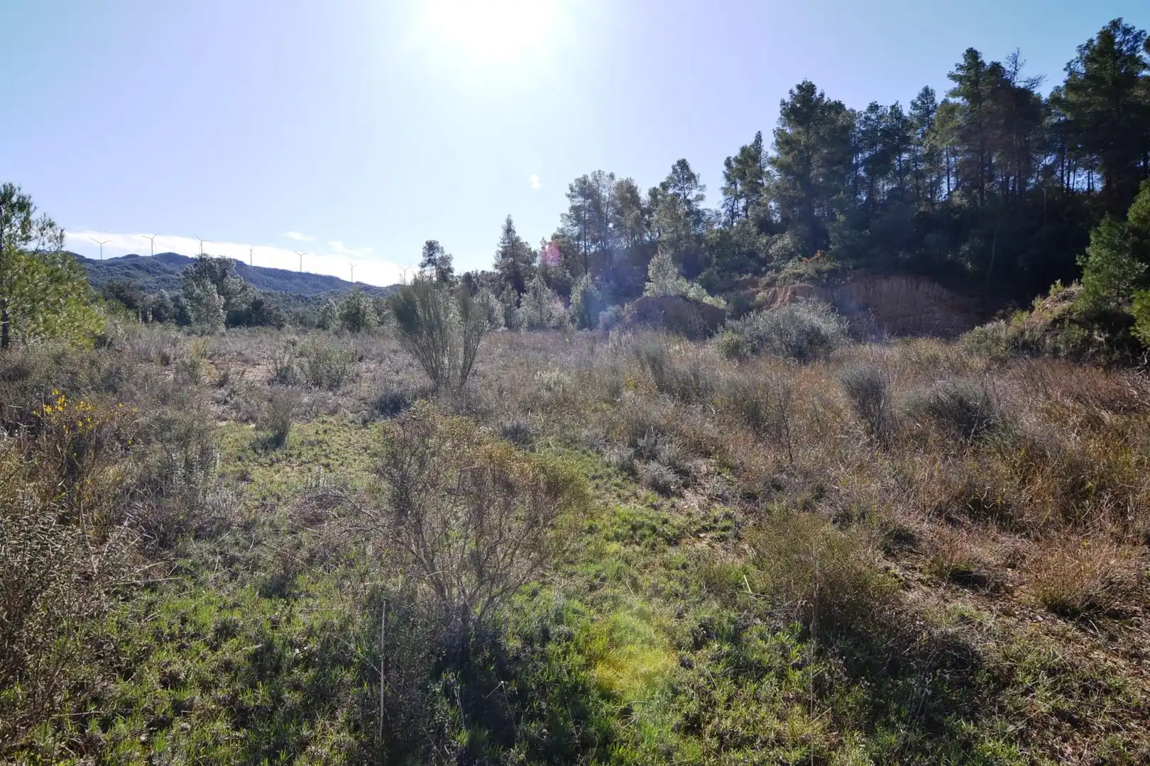 Rural land for sale in Ascó, imagen 35