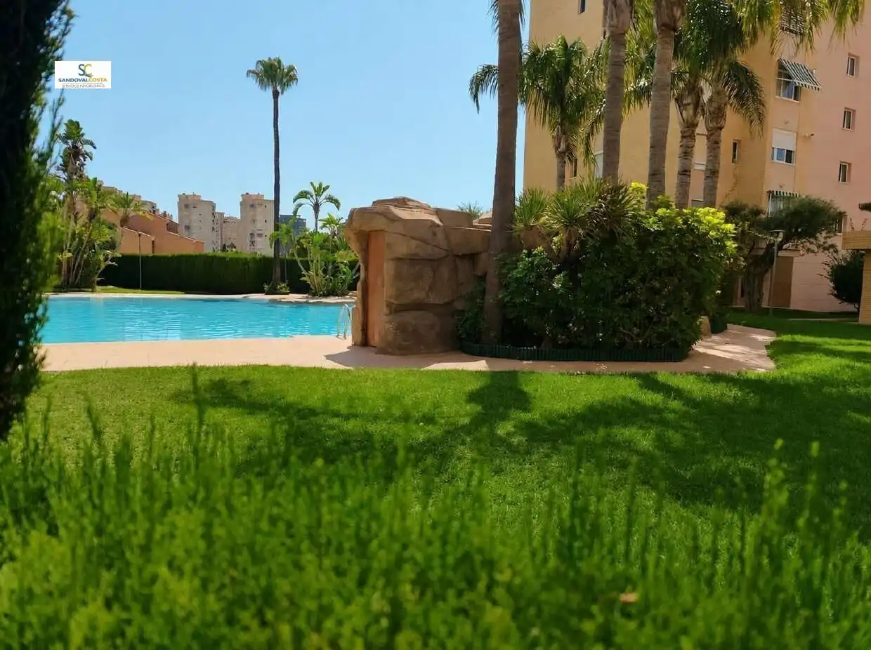 Piscina de Piso de alquiler en Alicante / Alacant con Parquet y Piscina comunitaria