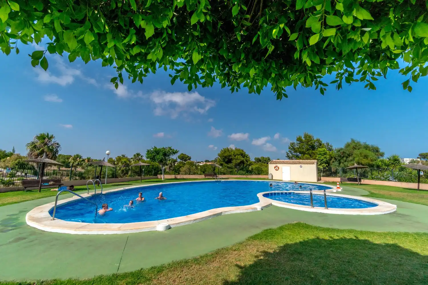 Piscina de Apartamento en venta en Orihuela con Piscina y Amueblado