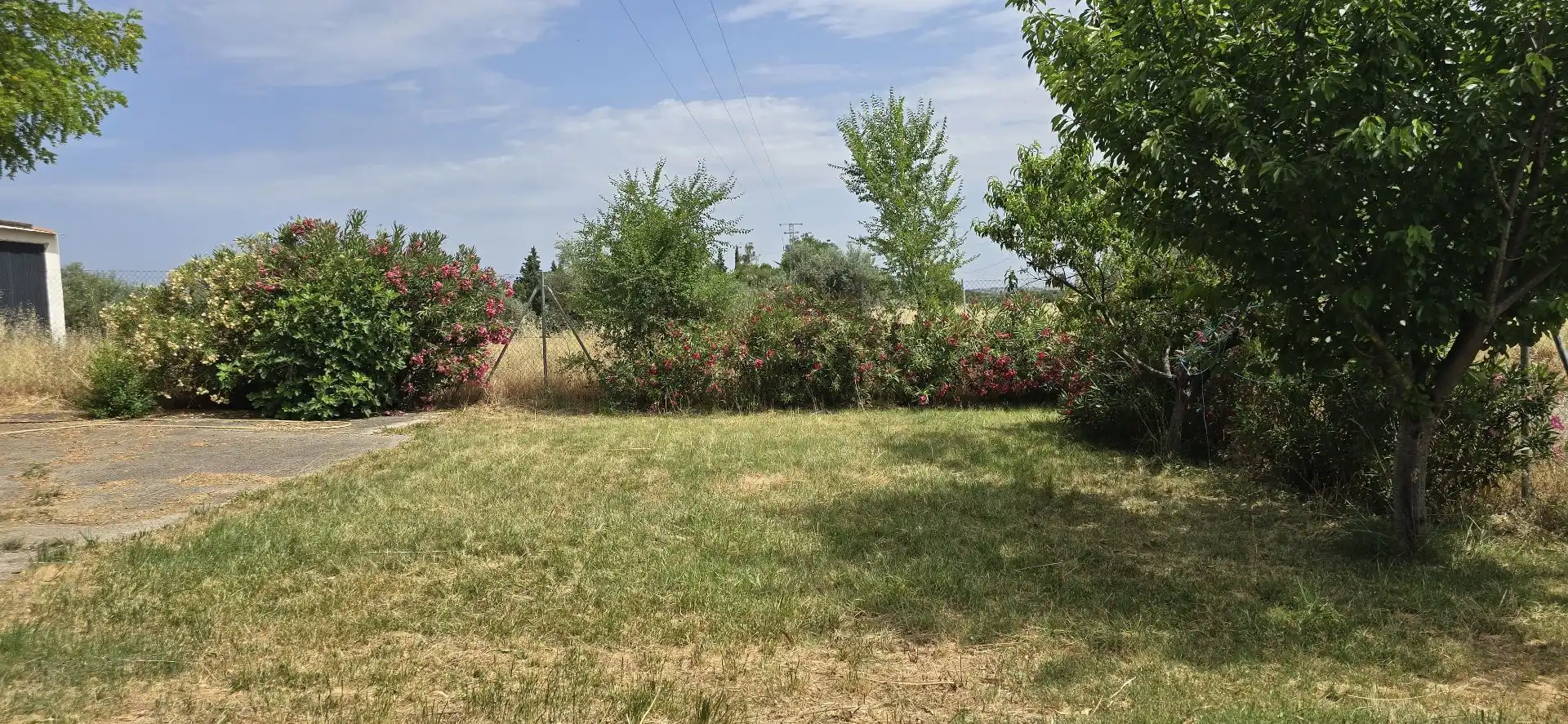 Terreno rustico in vendita a Argamasilla de Calatrava, imagen 3