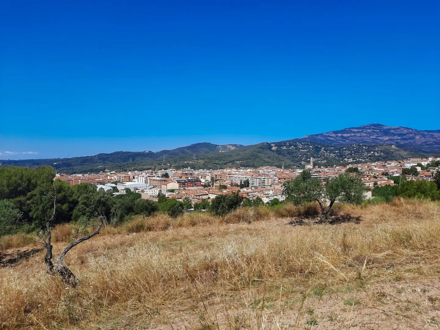 Terreno residencial en venta en Carrer Carrer del Cirerer 13, imagen 4