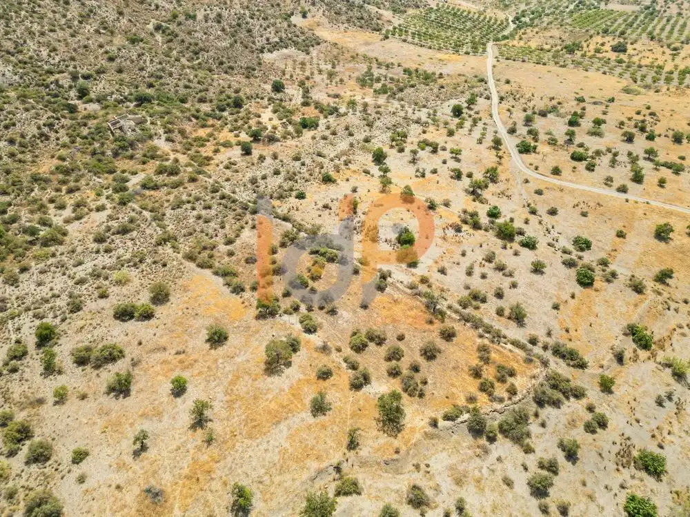 Terrenys i solars en venda a Huércal-Overa, imagen 10
