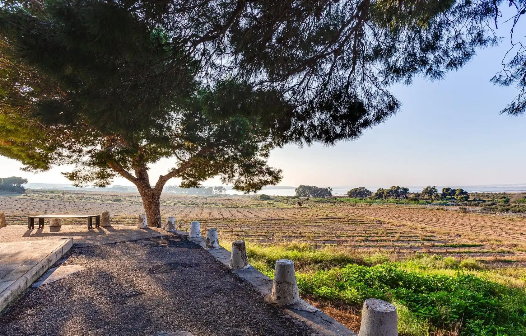 Vista exterior de Casa adosada en venta en Torrevieja con Aire acondicionado, Calefacción y Jardín privado