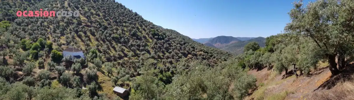 Vista exterior de Finca rústica en venta en Villanueva de Córdoba con Jardín privado, Trastero y Amueblado