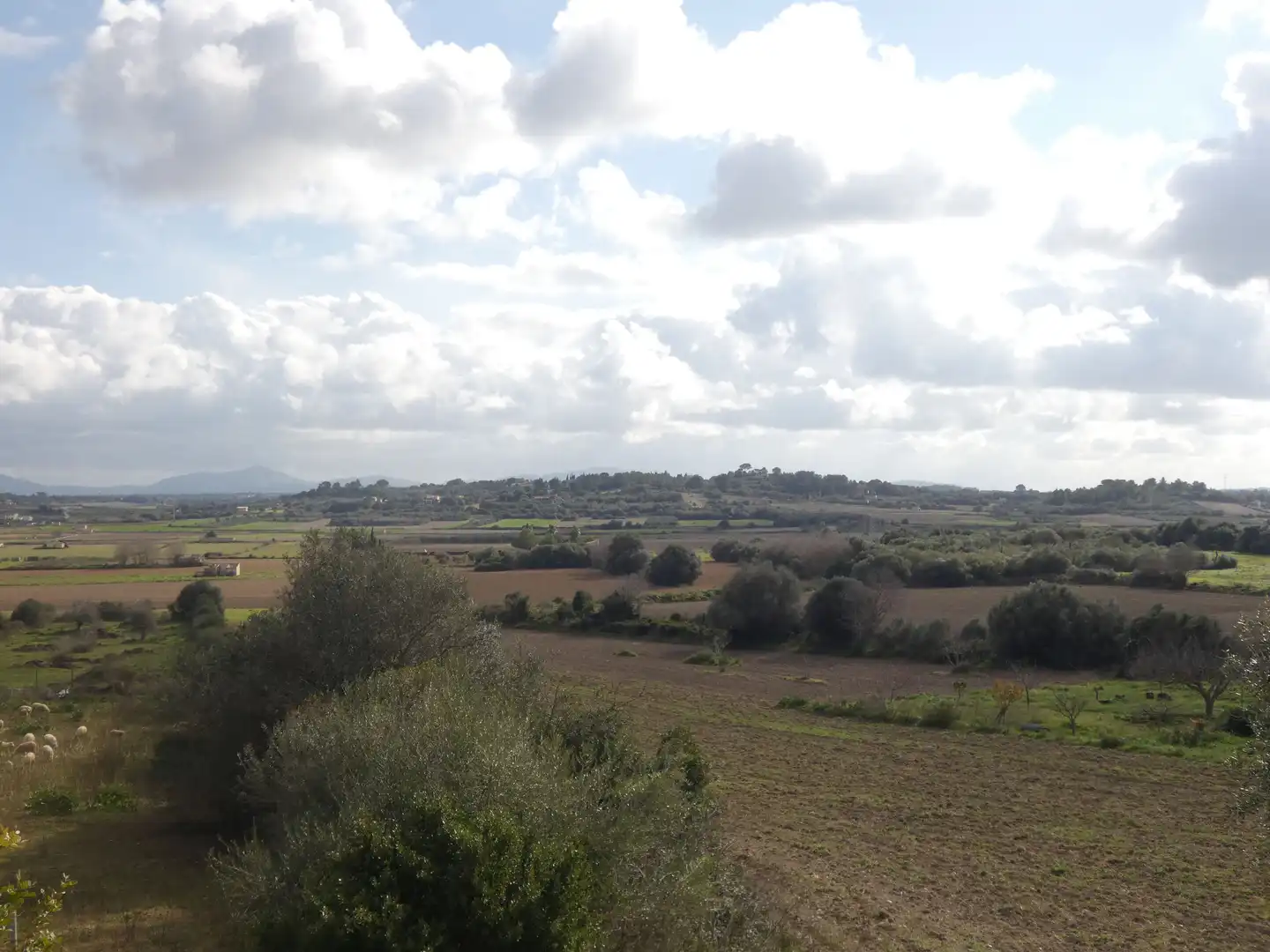 Terrain rustique à vendre à Muro, imagen 5