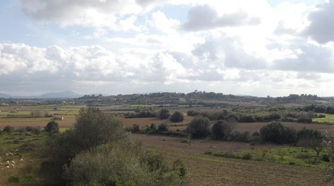 Finca rústica en Muro., immagine 5